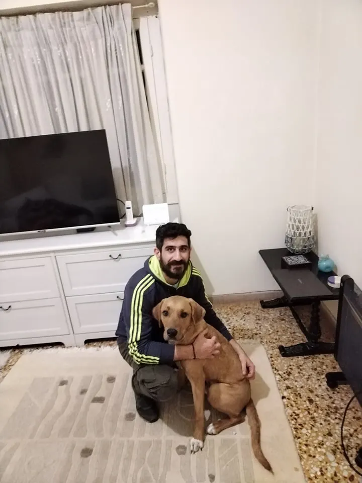 Μαθητής της Dogs and the City — εκπαίδευση σκύλων Πειραιάς