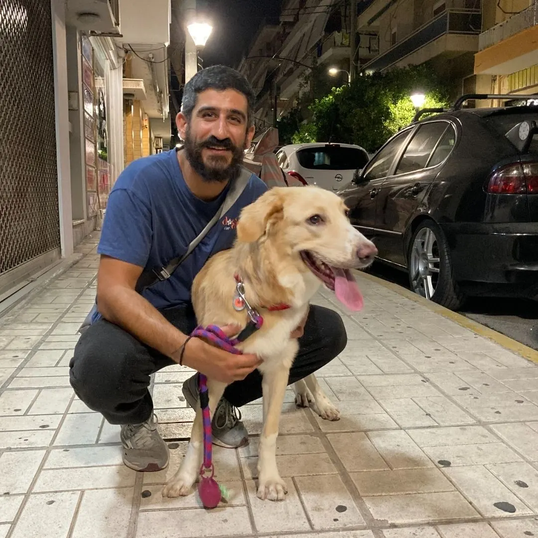 Μαθητής της Dogs and the City — εκπαίδευση σκύλων Πειραιάς