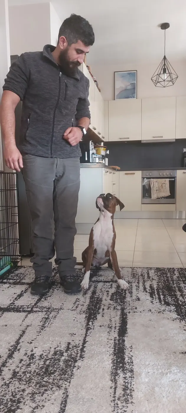 Μαθητής της Dogs and the City — εκπαίδευση σκύλων Πειραιάς