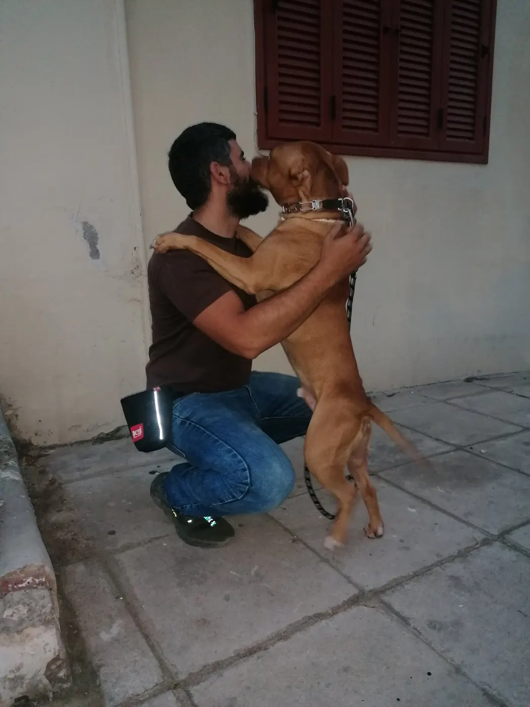 Μαθητής της Dogs and the City — εκπαίδευση σκύλων Πειραιάς