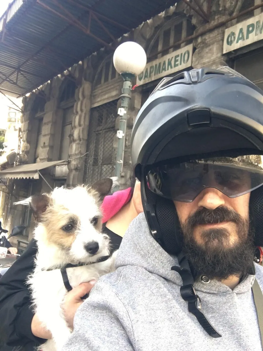 Μαθητής της Dogs and the City — εκπαίδευση σκύλων Πειραιάς