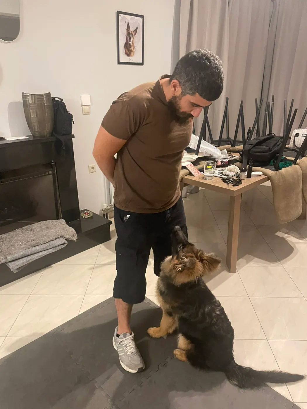 Μαθητής της Dogs and the City — εκπαίδευση σκύλων Πειραιάς