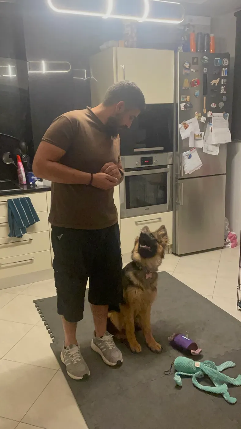 Μαθητής της Dogs and the City — εκπαίδευση σκύλων Πειραιάς