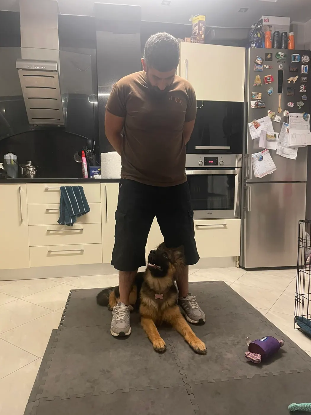 Μαθητής της Dogs and the City — εκπαίδευση σκύλων Πειραιάς