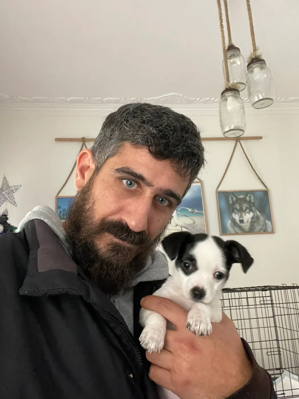 Μαθητής της Dogs and the City — εκπαίδευση σκύλων Πειραιάς
